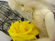 aomi kou����