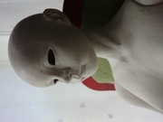 ���� ��������