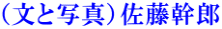 iƎʐ^jY