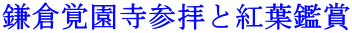 鎌倉覚園寺参拝と紅葉鑑賞