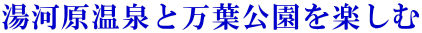 湯河原温泉と万葉公園を楽しむ