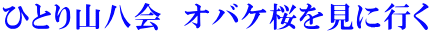 ひとり山八会　オバケ桜を見に行く