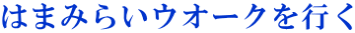はまみらいウオークを行く 